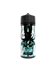 13 Squid - Arctic - 100ml Shortfill