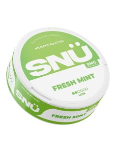 SNU 9mg - Fresh mint