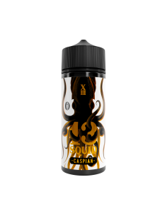 13 Squid - Caspian- 100ml Shortfill
